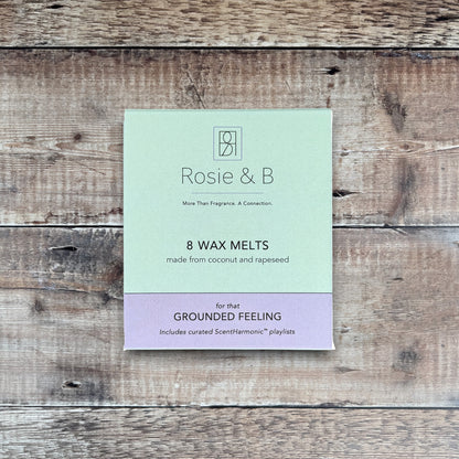 for that Grounded Feeling - product sleeve front